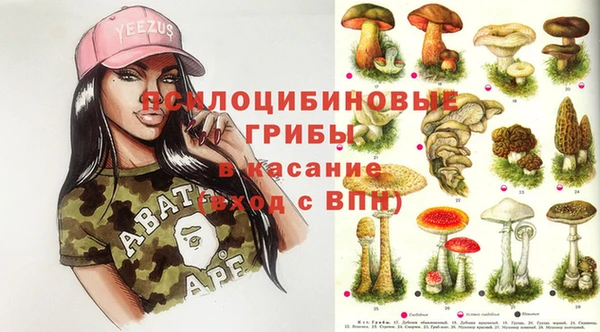 молекула духа Балабаново
