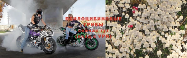 стафф Баксан