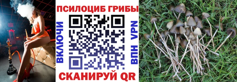 Псилоцибиновые грибы мухоморы  Заринск 