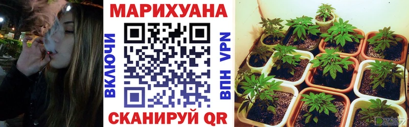 Бошки марихуана MAZAR  как найти наркотики  Заринск 